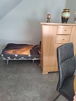 Ferienwohnung Hartmann - Top-Hundeurlaub