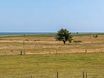 Meerblick - Whg. 5E - Top-Hundeurlaub