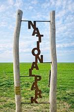 Jan am Strand 320 - Top-Hundeurlaub