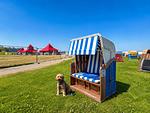 Strand - Küstenhaus Silbermöwe - Top-Hundeurlaub