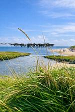 Strand - Küstenhaus Brandgans - Top-Hundeurlaub