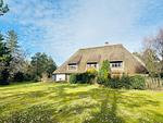 Whg. Oland - Top-Hundeurlaub