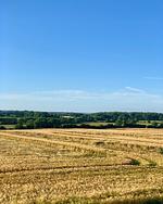 Meierhus FeWo "kleines Nest" - Top-Hundeurlaub