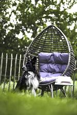 Ferienwohnung Haus Grün - Top-Hundeurlaub