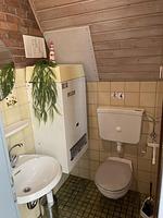 Ferienhaus Liesel - Top-Hundeurlaub