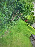 Ferienhaus Liesel - Top-Hundeurlaub