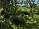 Garten - Haushälfte Henriette Emmelsbüll-Horsbüll - Top-Hundeurlaub