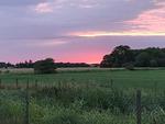 Landschaft - Haushälfte Henriette Emmelsbüll-Horsbüll - Top-Hundeurlaub