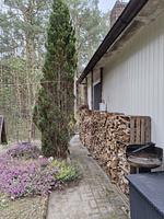 Waldhaus Emmi - Top-Hundeurlaub