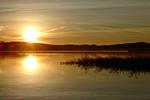 Strand - Regina Maris, Whg. 105 - Top-Hundeurlaub