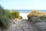 Strand - Regina Maris, Whg. 105 - Top-Hundeurlaub