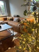 Ferienhaus Alte Schule - Top-Hundeurlaub