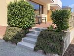 Terrasse - Seeteufel - Top-Hundeurlaub