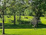 Nachbarschaft - Ferienwohnung "Strandliebe" Lutterbek bei Laboe - Top-Hundeurlaub