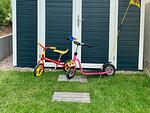 Garten - Ferienwohnung "Strandliebe" Lutterbek bei Laboe - Top-Hundeurlaub