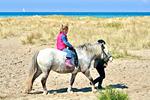 Sport / Aktivitäten - Ferienwohnung "Strandliebe" Lutterbek bei Laboe - Top-Hundeurlaub