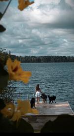 (52) 2 Ferienhäuser am See Flaken in einem Paket - Top-Hundeurlaub