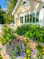 (52) 2 Ferienhäuser am See Flaken in einem Paket - Top-Hundeurlaub