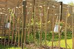 Gartenblick - Ferienwohnung Sanfte Brise IV Dagebüll - Top-Hundeurlaub