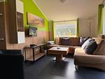 Weidenbruch - Lastering Ferienhäuser & Apartments - Top-Hundeurlaub