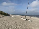 Insel-Juwel im Lindenhof - Top-Hundeurlaub