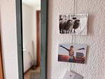 Schmaler Ganzkörperspiegel und liebevolle Postkarten - Nordlicht - Top-Hundeurlaub