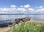 Der Strand am Mühlendamm mit Dänemark im Hintergrund - Landhaus am Mühlendamm - Top-Hundeurlaub