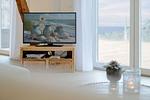 Wohnbereich mit TV, Meerblick und Kamin - Westscheune am Mühlendamm - Top-Hundeurlaub