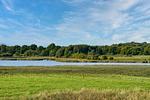Gartenblick - Ferienwohnung Austernfischer 39 im Wreecher Idyll Rügen - Top-Hundeurlaub