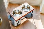 Fördezauber - Top-Hundeurlaub