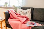 Wohnzimmer mit Essbereich und offener Küche - Wlan und TV - Ankerplatz No. 8 - Top-Hundeurlaub