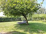 Garten - Ferienhaus Dat groote Diekhuus Rodenäs - Top-Hundeurlaub