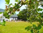 Bellaire - Top-Hundeurlaub