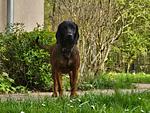 Ferienhaus Anton & Charlotte Landschaft - Ferienhaus Anton & Charlotte - Top-Hundeurlaub