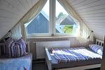 Linnea - Top-Hundeurlaub