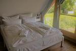Boddenidyll - Top-Hundeurlaub