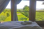 Boddenidyll - Top-Hundeurlaub