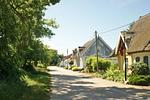 Boddenidyll - Top-Hundeurlaub