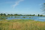 Boddenidyll - Top-Hundeurlaub