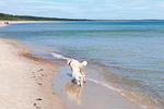 Boddenidyll - Top-Hundeurlaub
