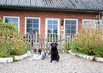 Abendrot (Haushälfte) - Top-Hundeurlaub