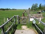 Abendrot (Haushälfte) - Top-Hundeurlaub