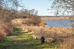 Bobby - Top-Hundeurlaub