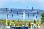 Strand - 0803 - Top-Hundeurlaub
