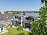 Sonnenglück - Top-Hundeurlaub