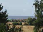 Sonnenglück - Top-Hundeurlaub