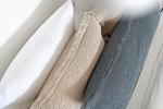 Dekoratives Detail - NEY 12 - Top-Hundeurlaub
