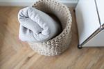 Dekoratives Detail - NEY 12 - Top-Hundeurlaub