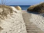Landschaft - FeWo OG: Balkon, Wallbox kostenfrei - Top-Hundeurlaub