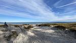 Strand - FeWo OG: Balkon, Wallbox kostenfrei - Top-Hundeurlaub
